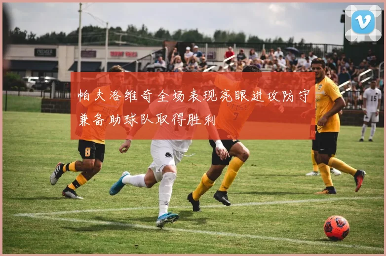 帕夫洛维奇全场表现亮眼进攻防守兼备助球队取得胜利